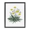 Stupell Industries Dandelion Flower Illustration Floating Frame, design by Cecilia Battaini